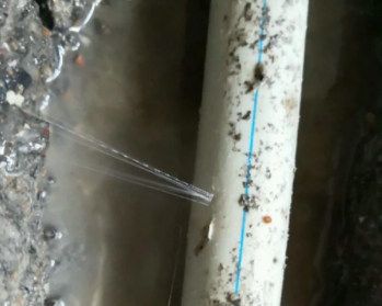 达日卫生间测漏水多少钱