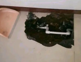 达日卫生间测漏水多少钱